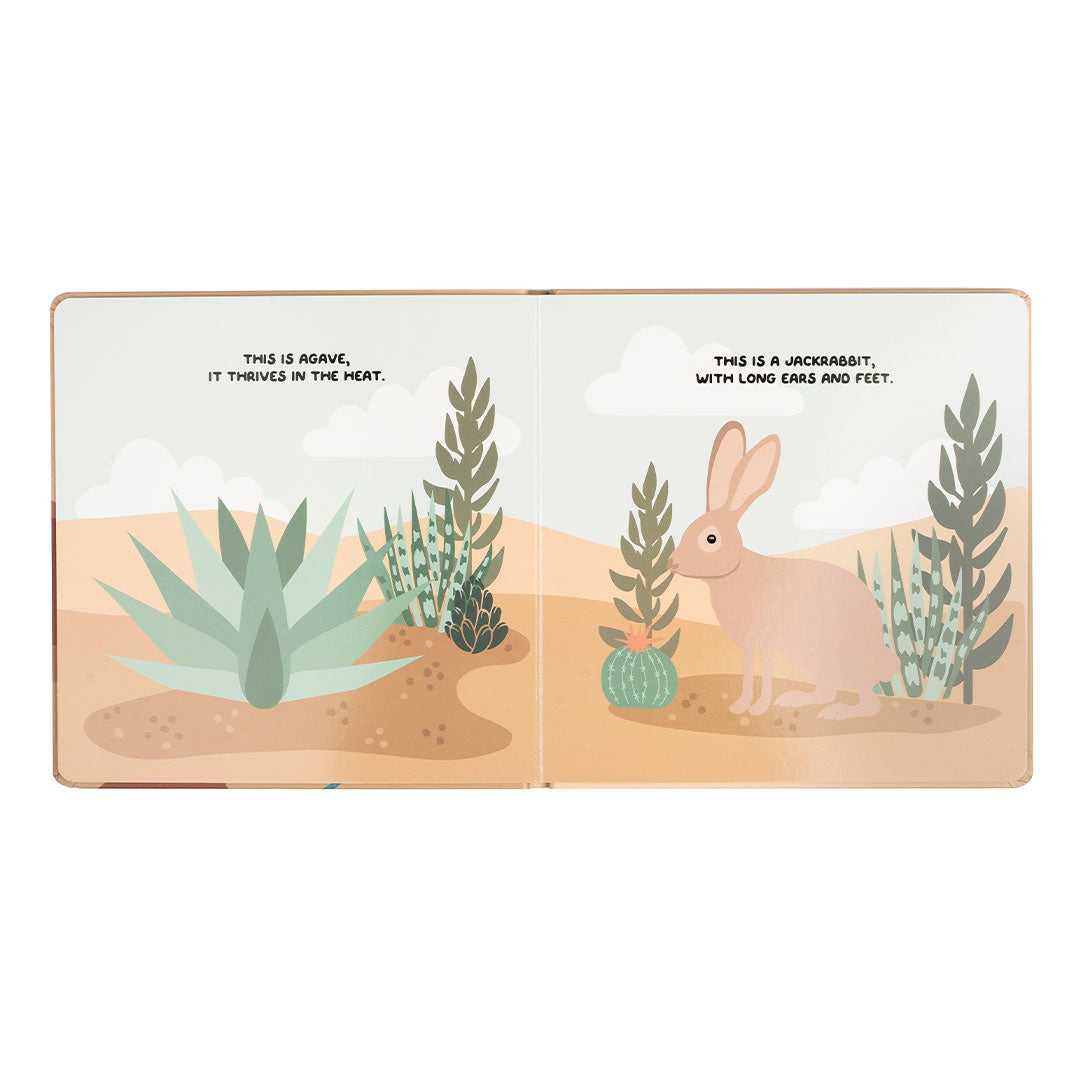 an excerpt from the book "desert friends" - this is agave, it thrives in the heat. this is a jackrabbit, with long ears and feet. 