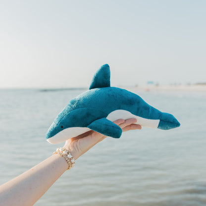 Person holding a blue dolphin plush toy with a beach in the background
