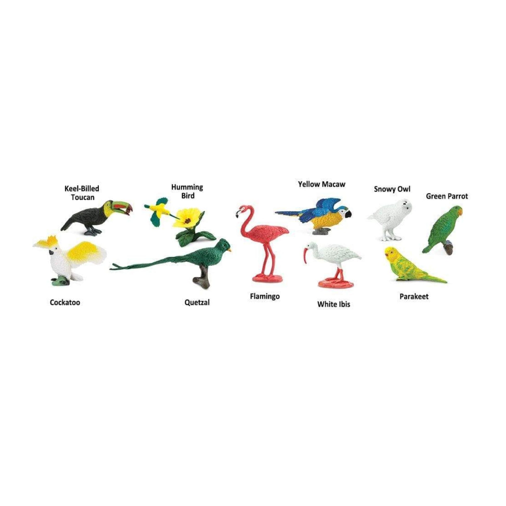 Set of toy bird figurines with labels on a white background