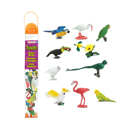 Set of colorful bird figurines with packaging labeled 'Toob Exotic Birds' on a white background.