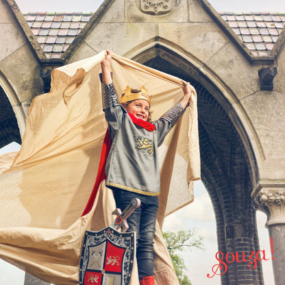 Speedy Monkey - King  Arthur Crown - Costume Accessory for Kids