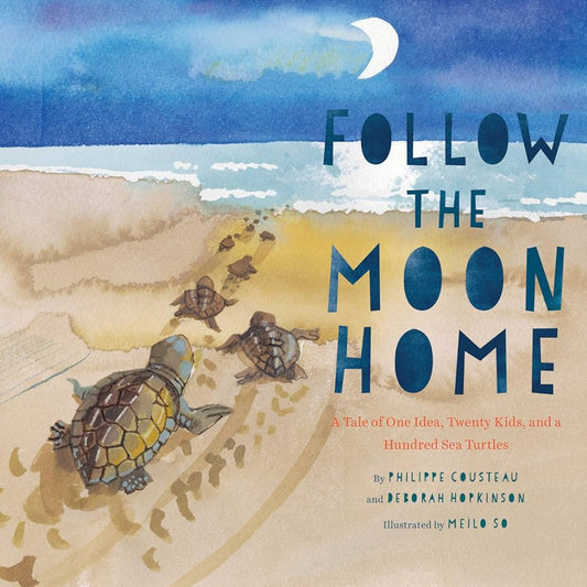 several baby sea turtles following the moons light to the ocean