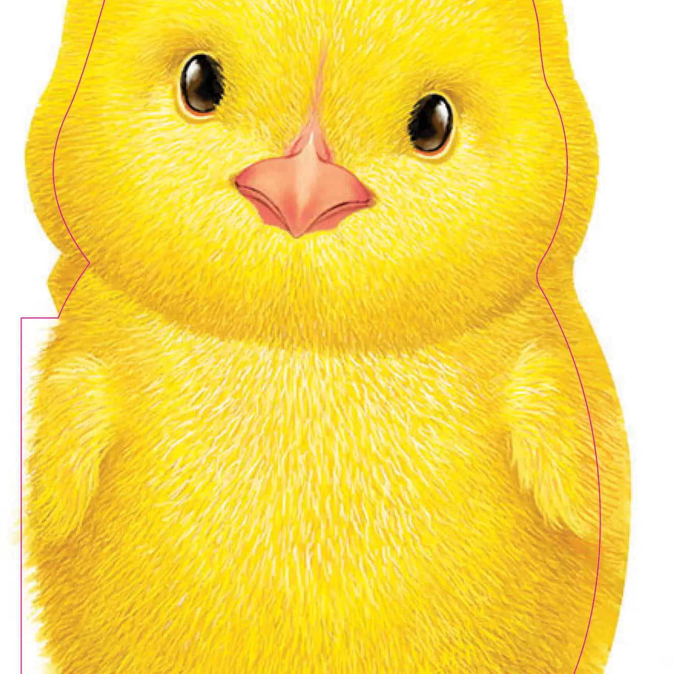 yellow chick board book with a fuzzy stomach