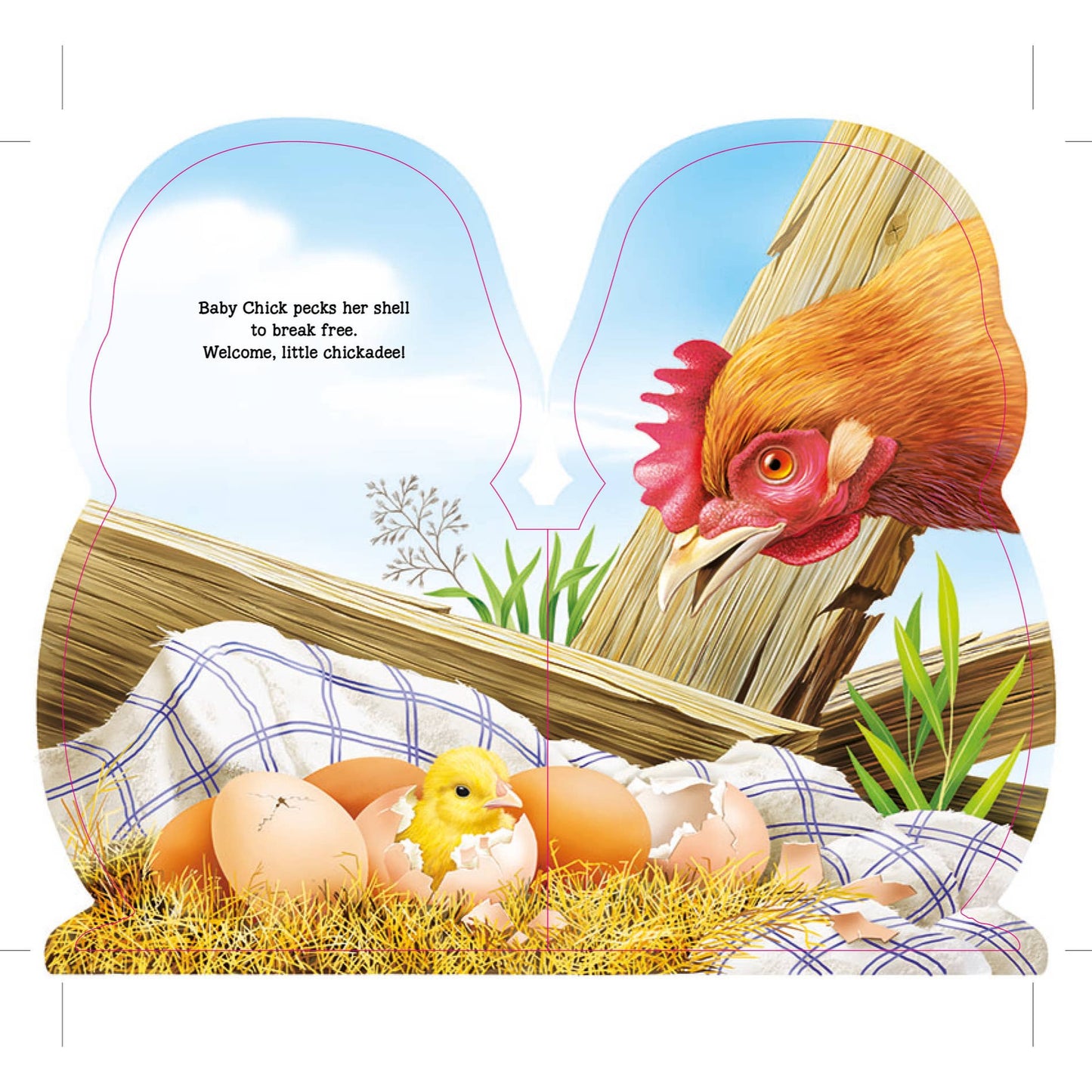 Furry Chick Board Book