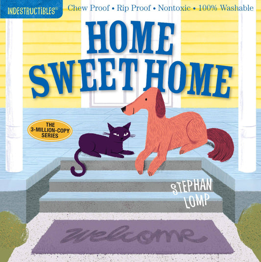 a dog and a cat sitting on the front porch