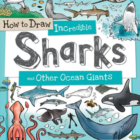book on how to draw sharks and there are lots of drawings of different sharks on the cover