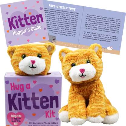 picture showing the kitten in the box how it comes, and also shows what the stuffed kitten looks like outside of the box