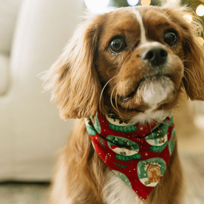 Dog wearing our Let it snow pet bandana