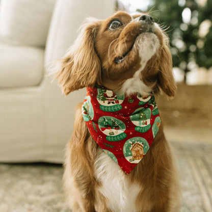 dog wearing pet bandana
