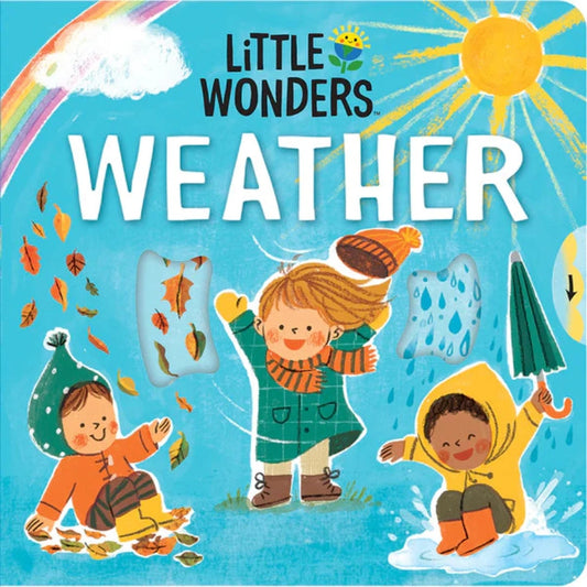 Multi-colored board book with children and different weather objects