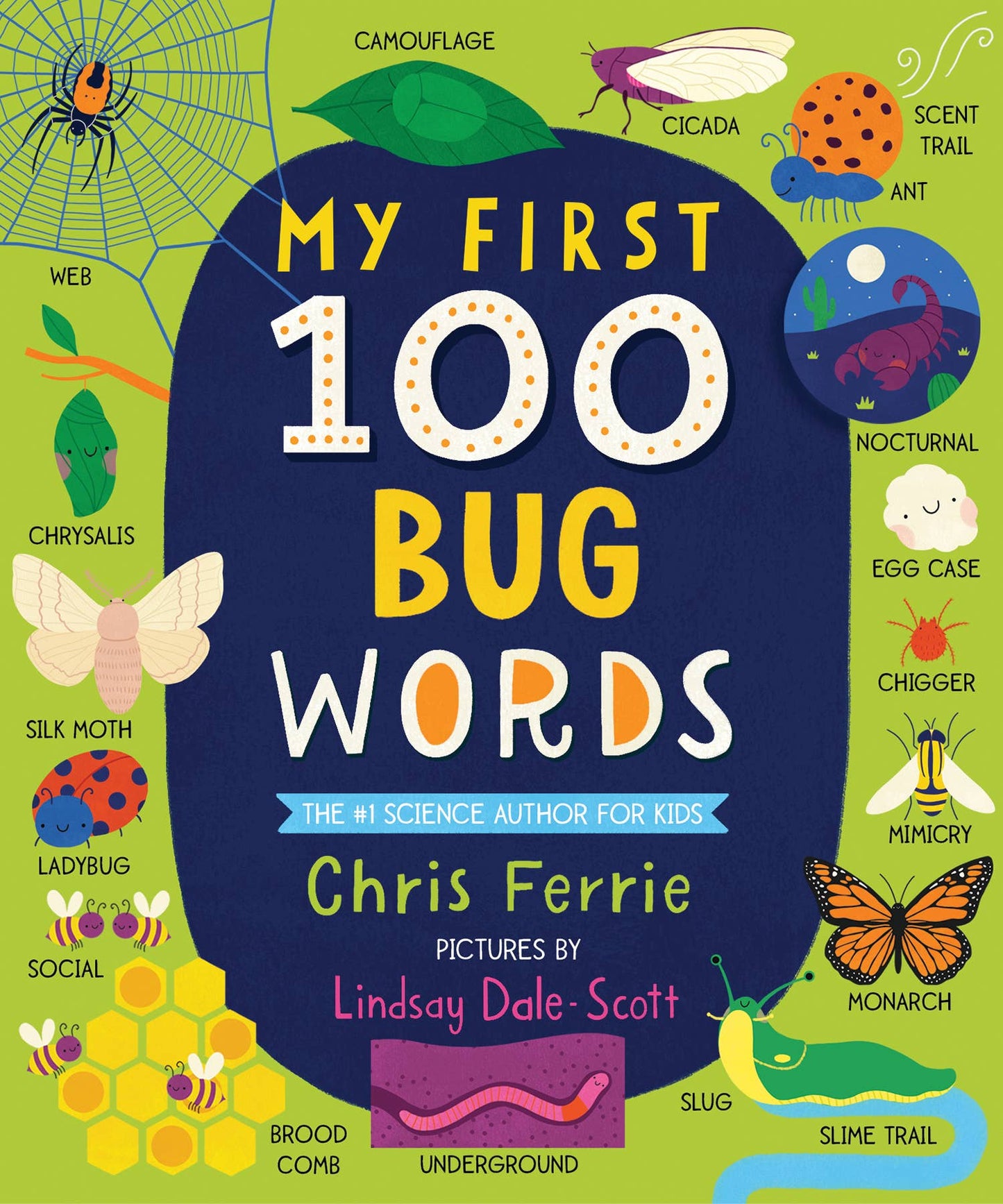 My First 100 Bug Words Padded Board Book