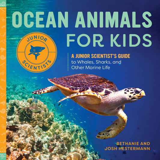 book called ocean animals for kids that shows an image of a sea turtle swimming underwater on the cover