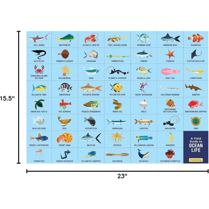 Chart of ocean life with illustrations and names on a blue background