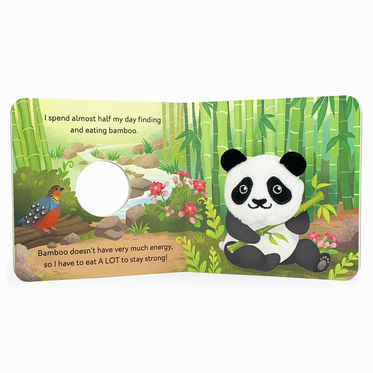 Children's book page with a panda and bird in a bamboo forest