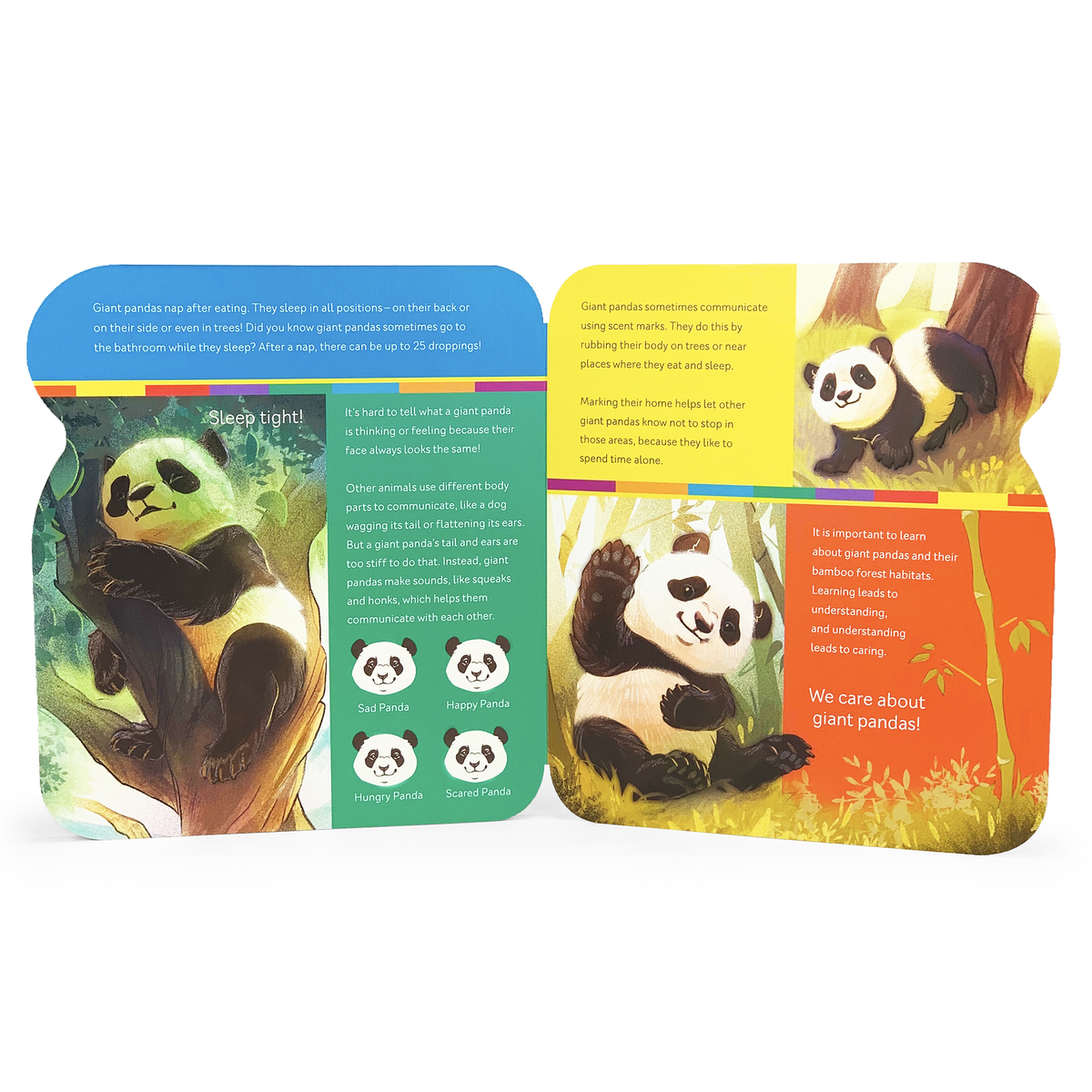 Two panda-themed educational cards with colorful backgrounds and illustrations of pandas.