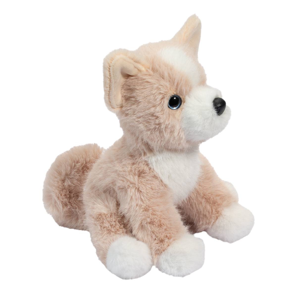 Douglas Toys - Pookie Pomsky Mini Soft Plush Toy