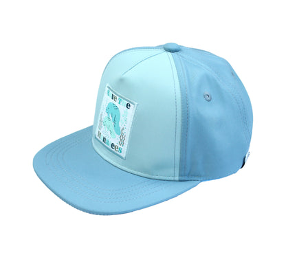 Flay lay image of our Save the Manatees Snapback Hat.