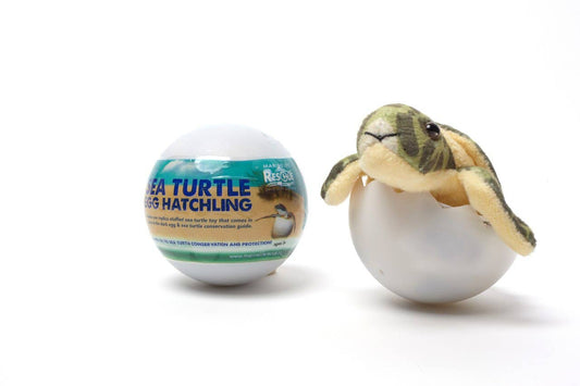 Sea Turtle Hatchling Egg Stuffed Plush Toy