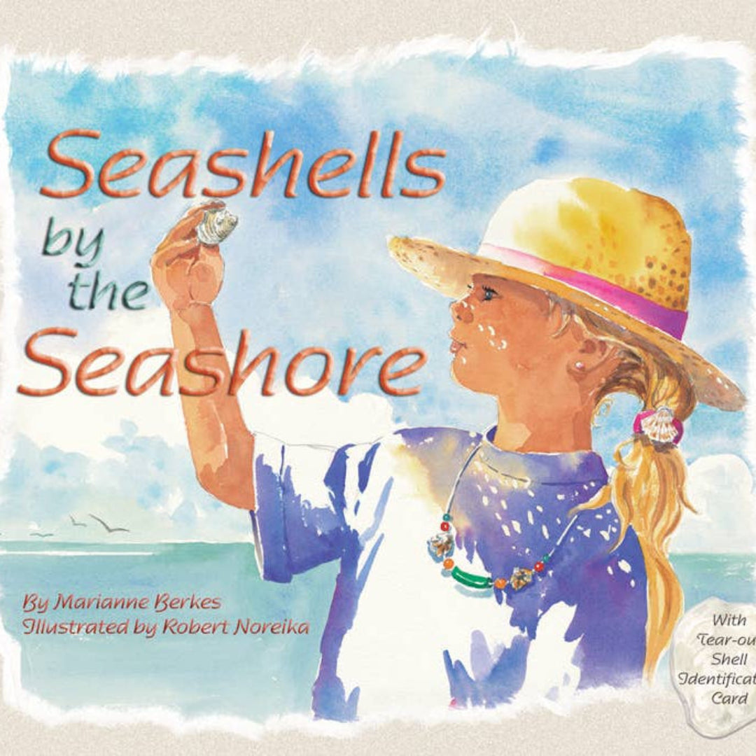 little girl at the beach holding a seashell on a book cover