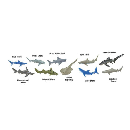 Safari Ltd. Sharks TOOB® - 11 Piece Miniature Shark Figurine Set