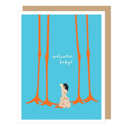 baby stork new baby card blue backround