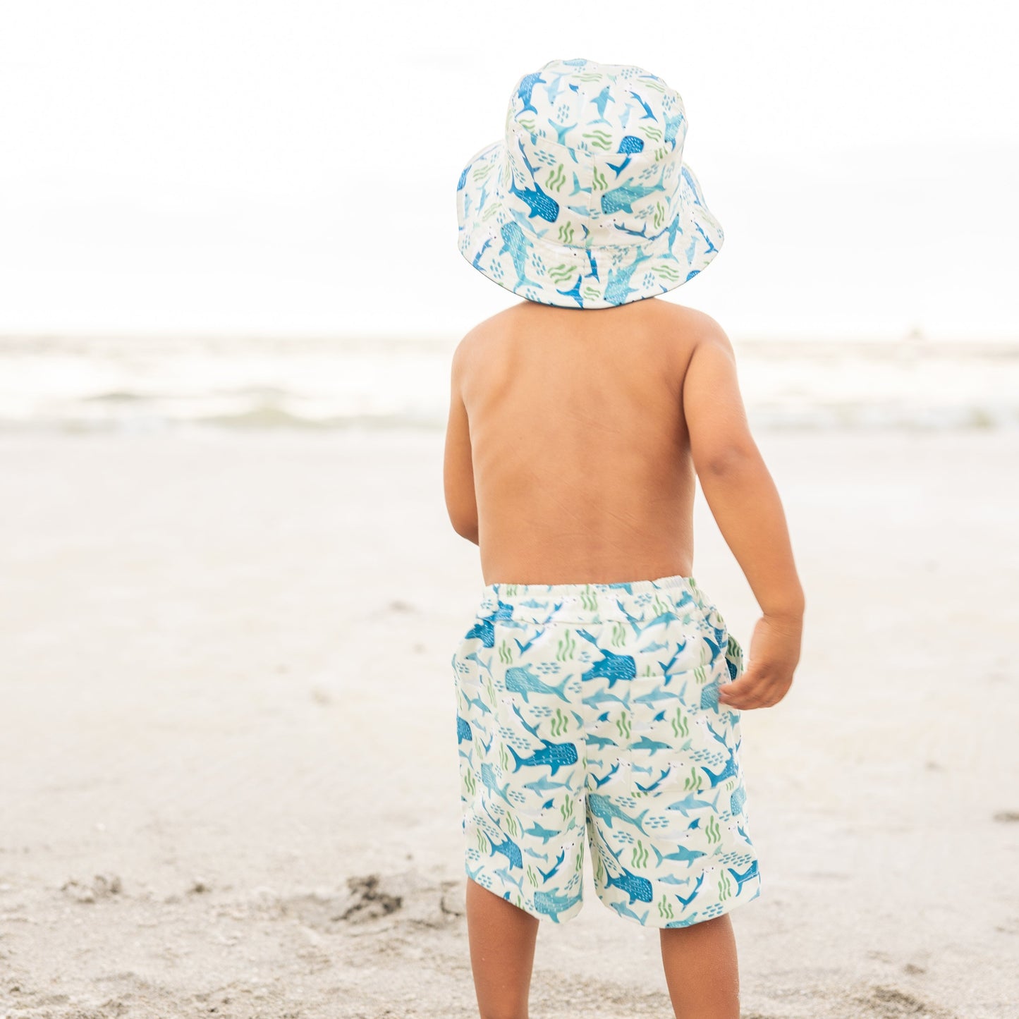 Little boy standing in the sand with his back towards the camera, wearing the Shark Friends Swim Trunks and matching Bucket Hat.