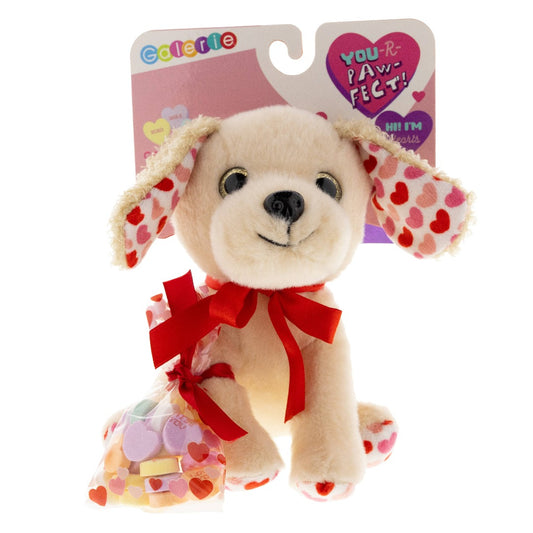 *Final Sale*Valentine’s Day Dog Plush and Conversation Hearts Candy