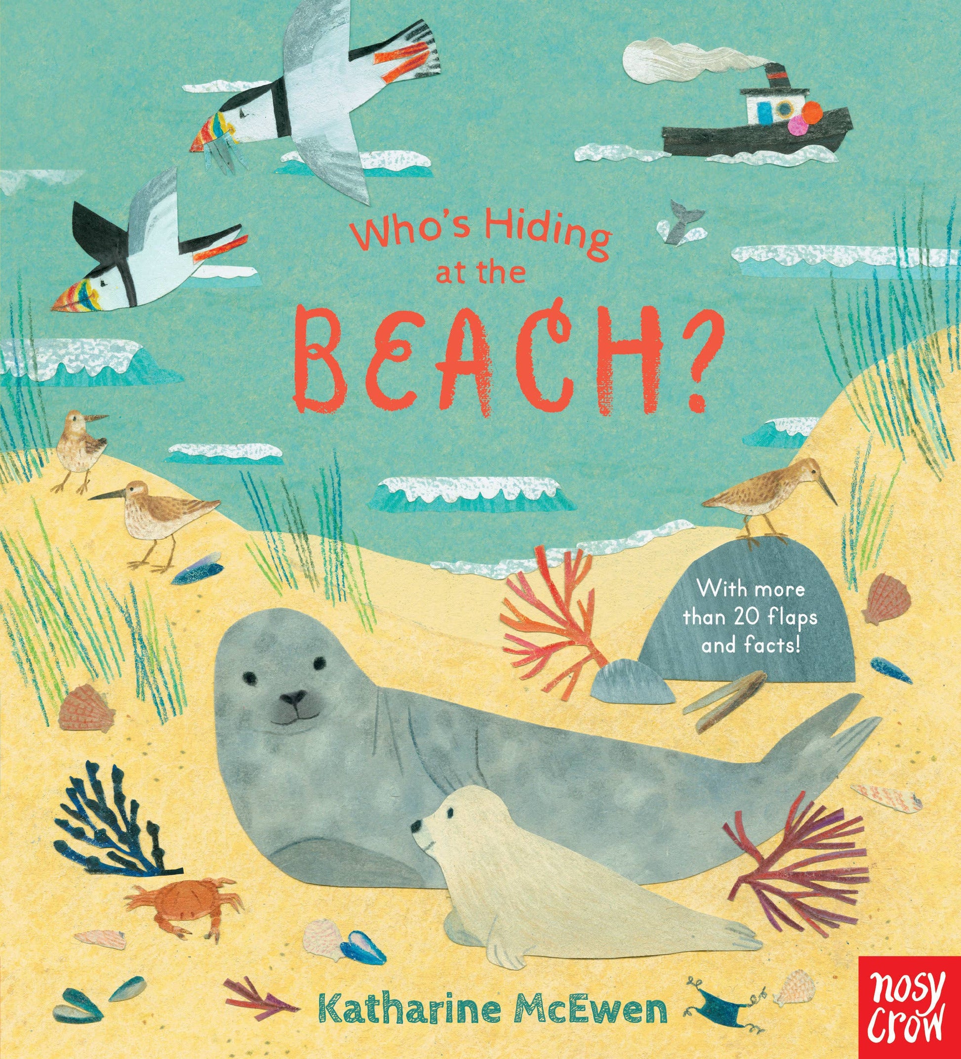 Book cover of 'Who's Hiding at the Beach?' with illustrations of seals, birds, and a boat on a beach.